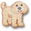 «B’golden Doodle Puppy Γούρια Jibbitz για παπούτσια»