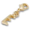 Χρυσό γράμμα «E» Γούρια Jibbitz™