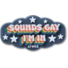 Γούρια Jibbitz™ «Sounds Gay Im»