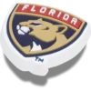 Nhl® Florida Panthers Γούρια Jibbitz™